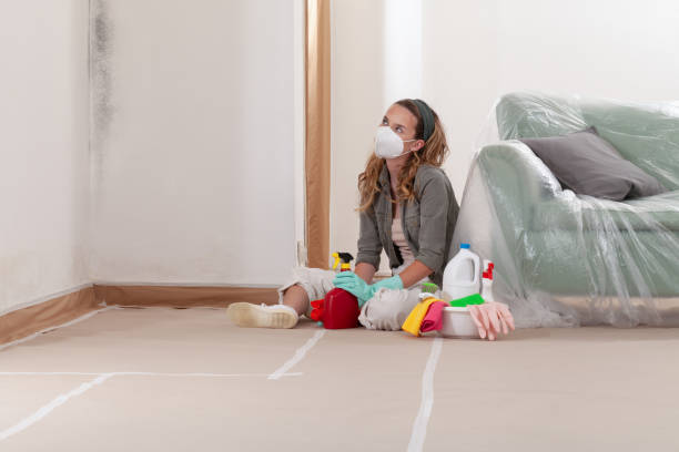 Reliable Mold Testing contractor in Broad Top, PA by WQB Mold Removal